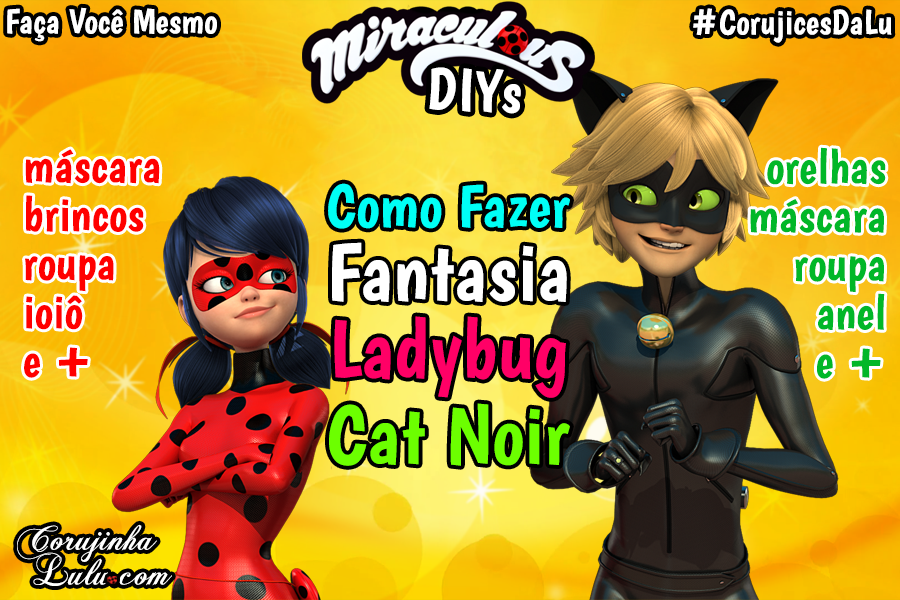 roupa da ladybug e do cat noir