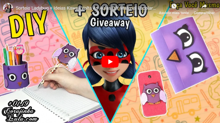 Sorteio Miraculous Ladybug (inauguração Corujinha Lulu Amino)